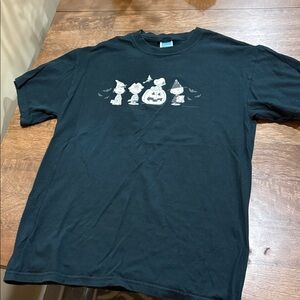 Peanuts Cotton Glow in the Dark Graphic T-Shirt  Halloween Great Pumpkin Medium